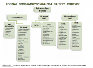 Podział Epidermolysis Bullosy na typy i podtypy